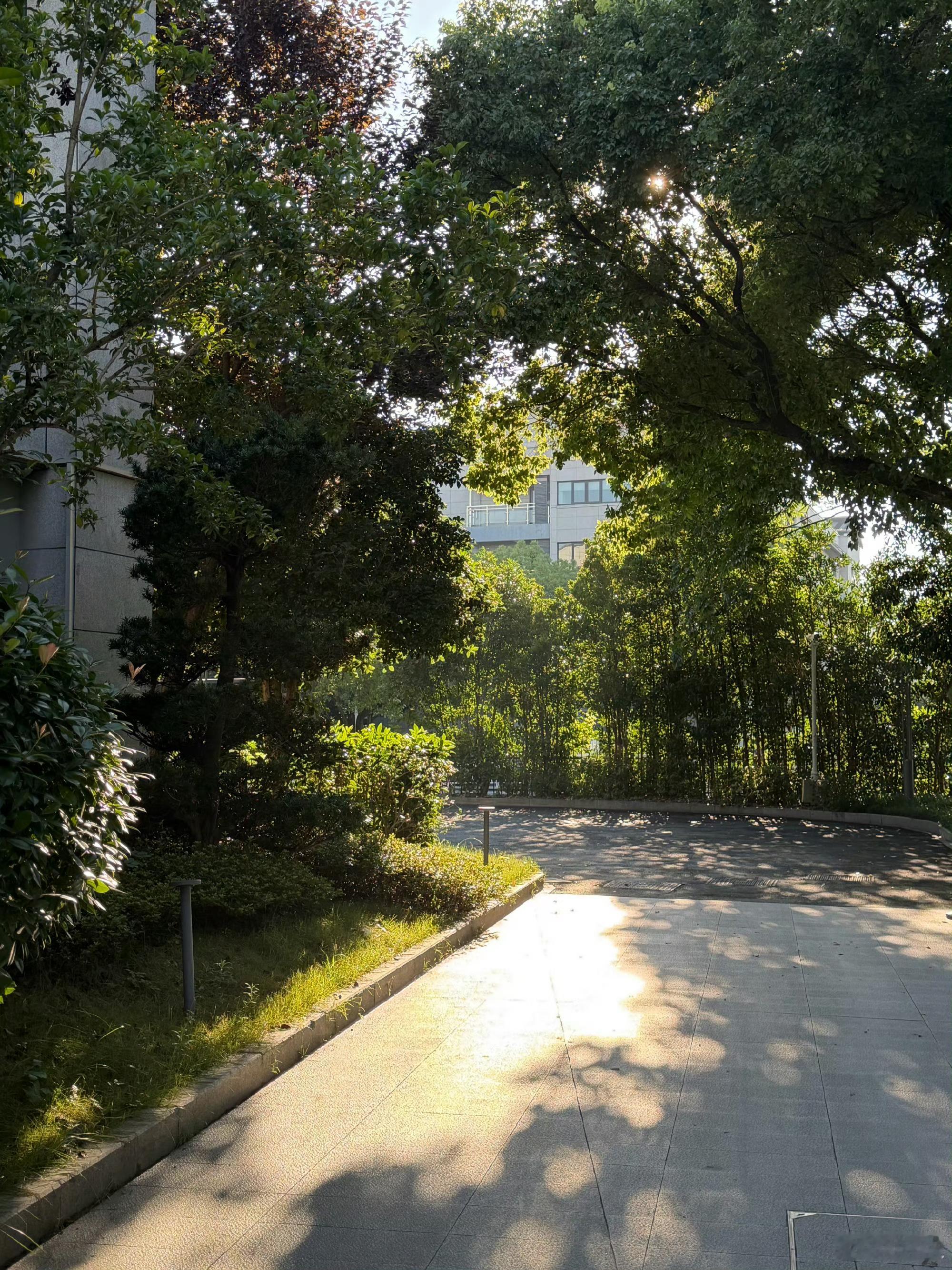 来访表示自己非常焦虑焦虑来源其实是没什么实际的事在做，哪怕是工作，也属于应付差事