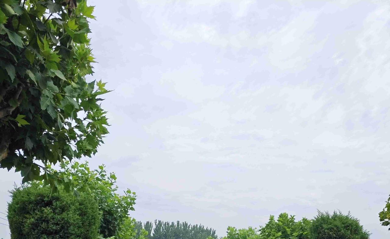 我的今日状态：😁轻松愉快
我这里的天气：☀️晴天