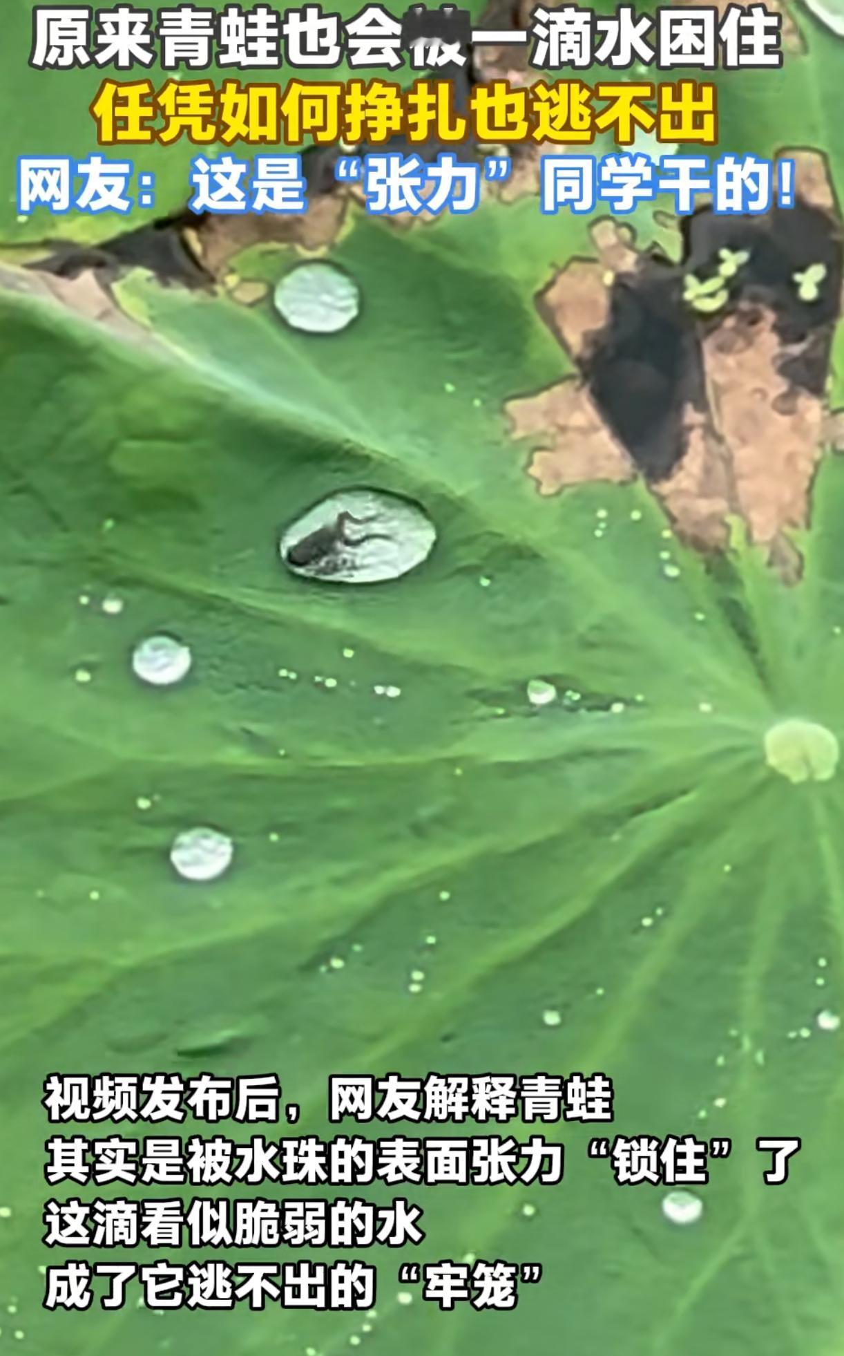 看得见的大千世界，摸不着的幸福，到不了的路，所有总总终归于是个人被自己的枷锁所困