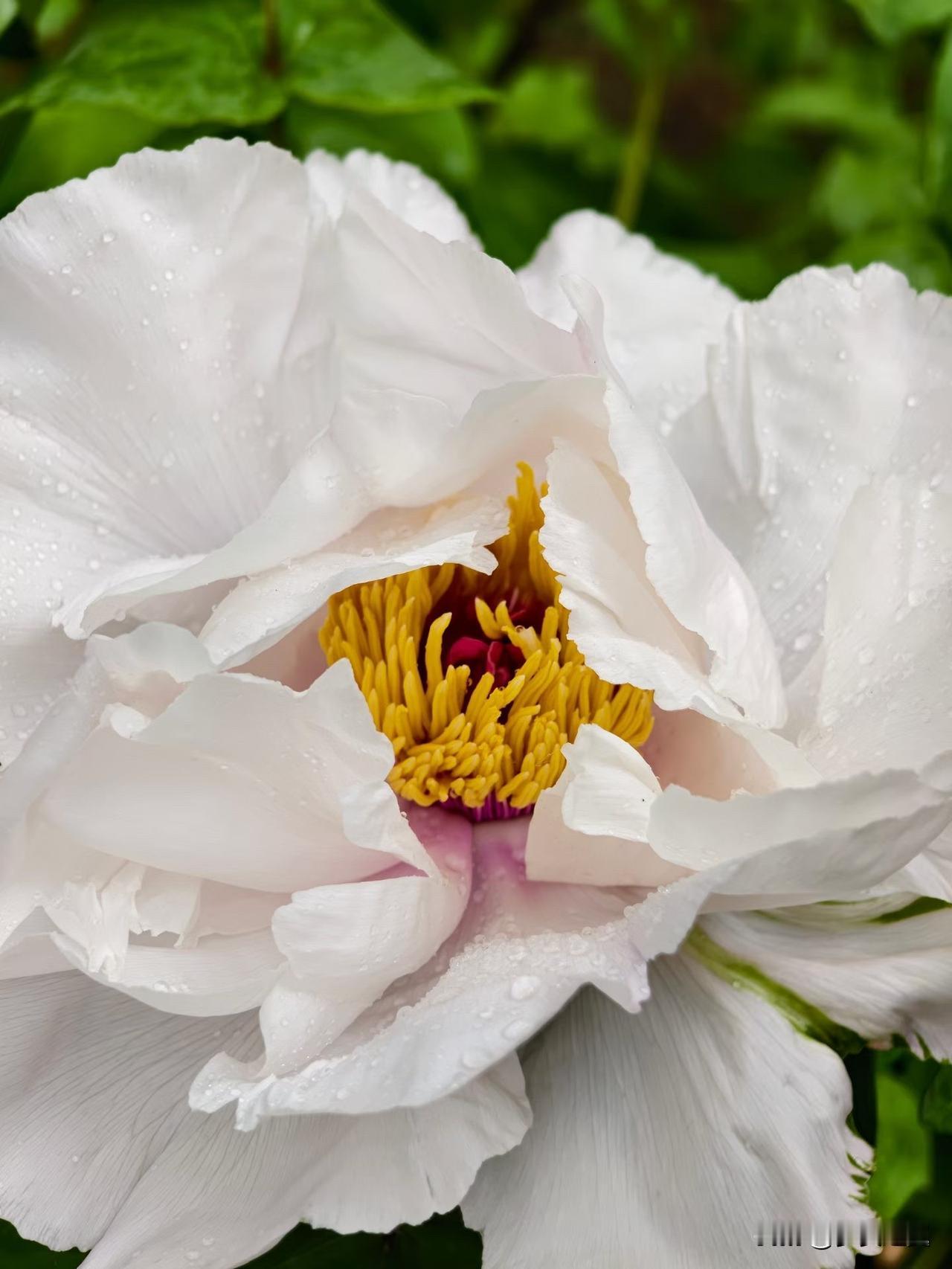 【小对联】
上：洁身自爱；
下：……？