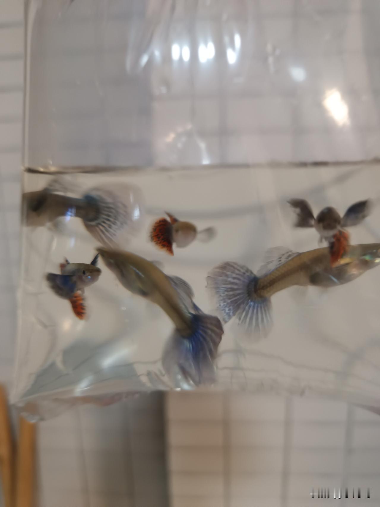 我喜欢这句非常励志的名言：成功是从失败到失败而热情不减的能力

温斯顿·丘吉尔的