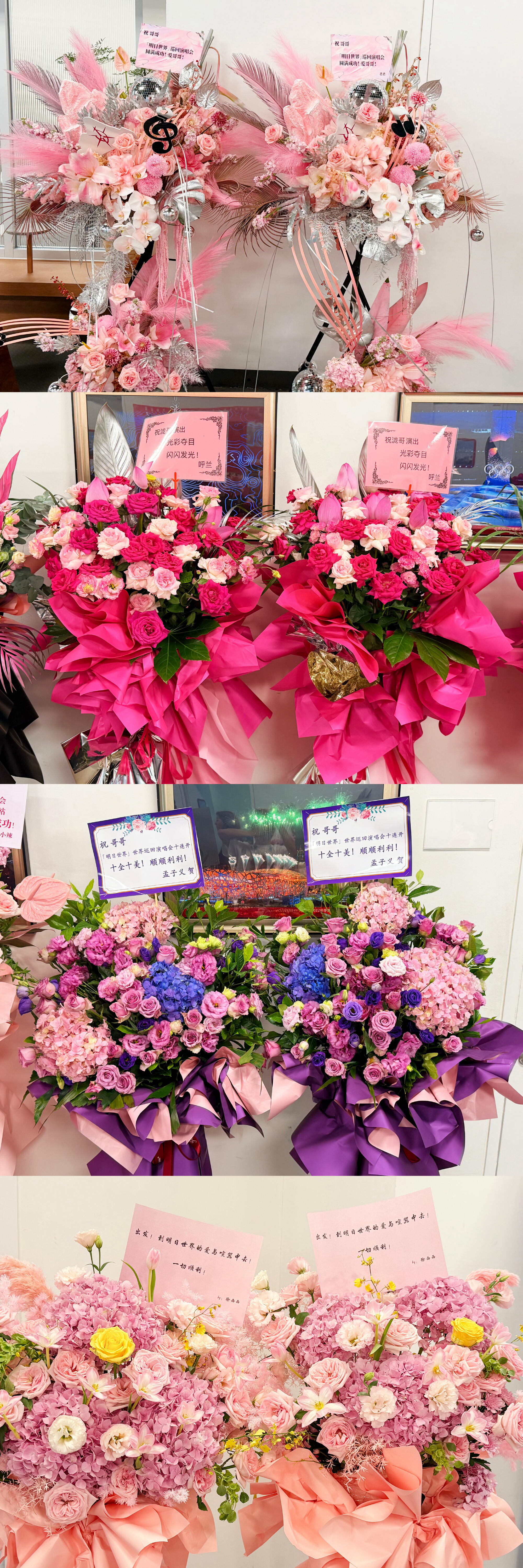 李嘉琦李雪琴试图和汪苏泷合影 从桃花坞的小车到鸟巢的万人舞台，650的情谊从未褪