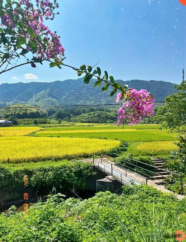 说得太对了！孩子主动给你买东西、发红包，千万别推辞！很多爸妈总觉得心疼孩子赚钱不