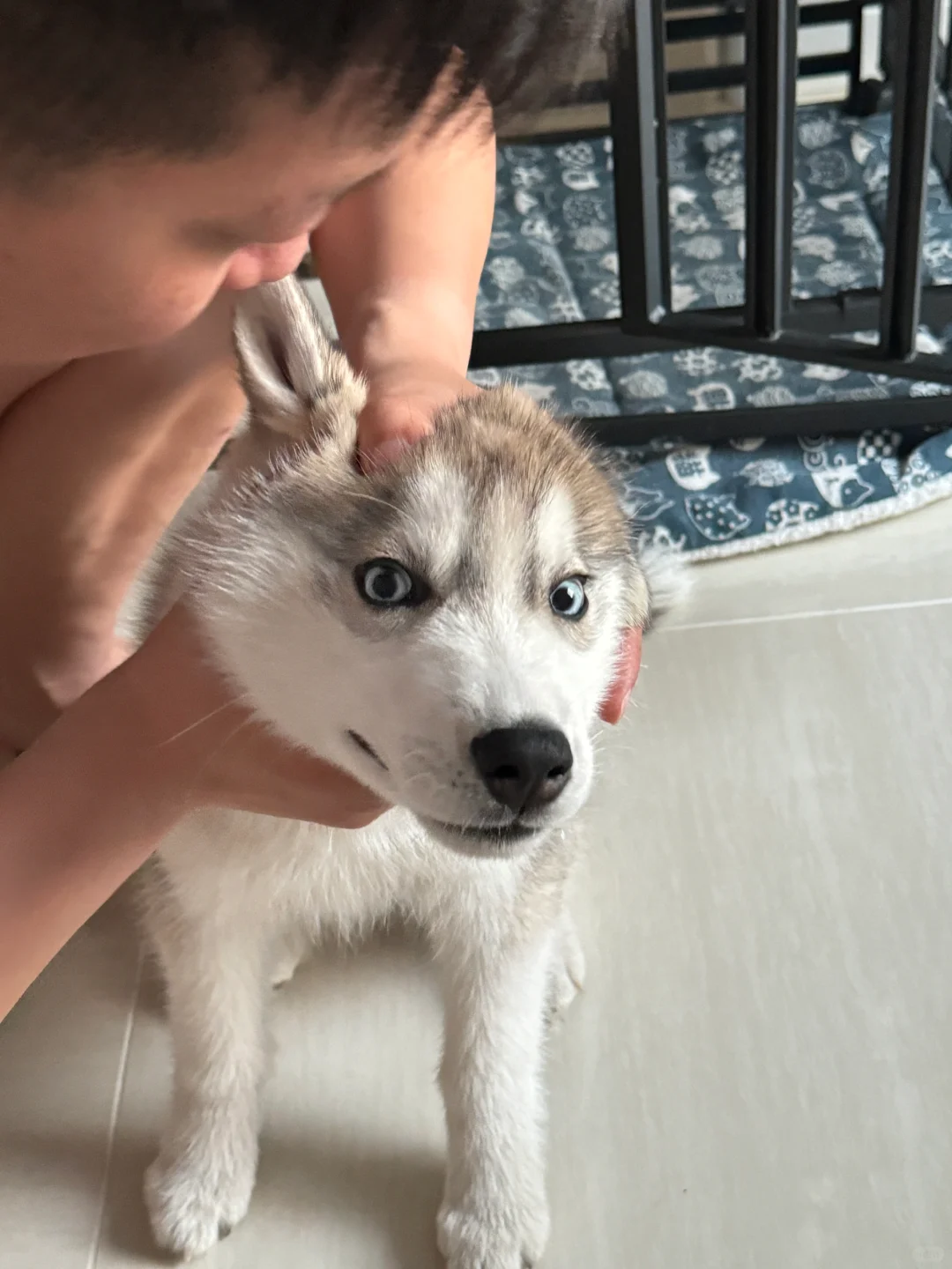 爸爸要干什么😧