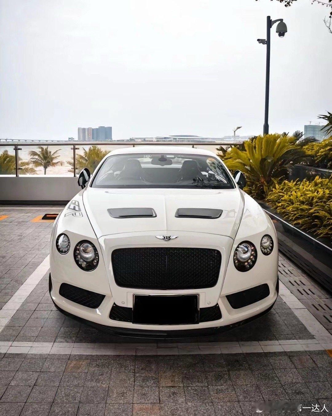宾利欧陆GT3R ，全国限量300台 ​​​