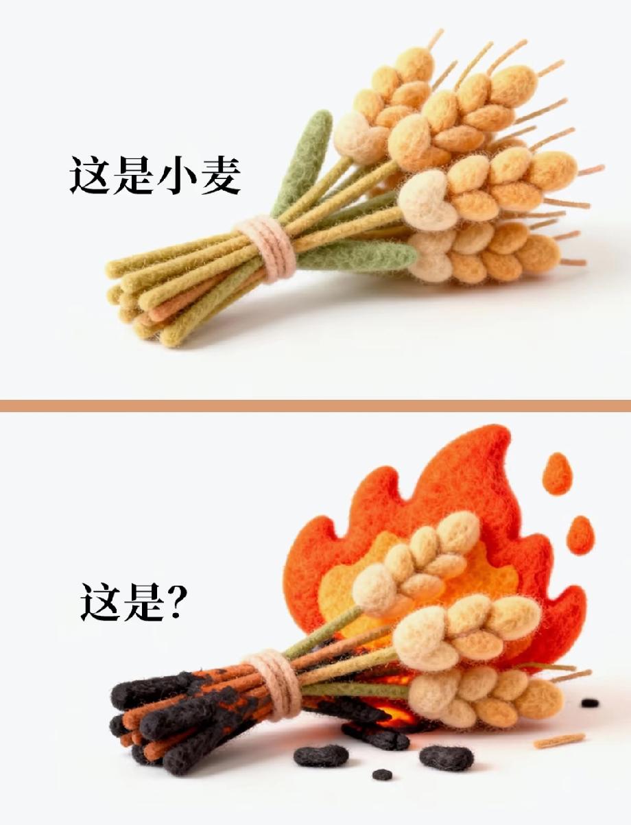 被萌到了！普通小麦vs着火小麦，这个谐音梗太有才了，评论区晒答案