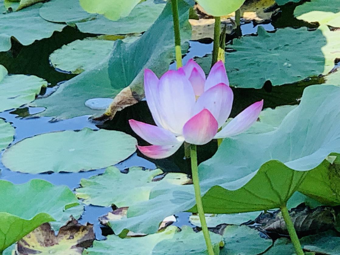 我的今日状态：😁轻松愉快
我这里的天气：☀️晴天