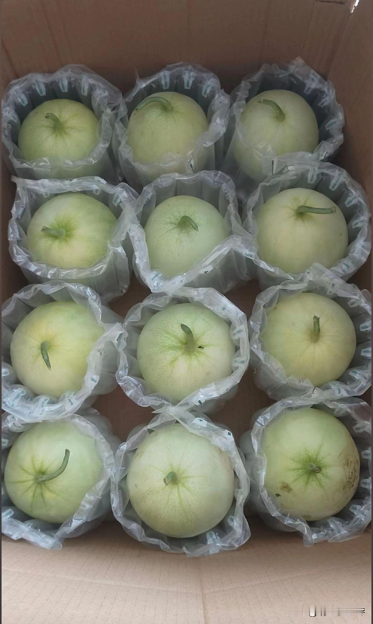 一个人在家做电商，别人的五一都是出门游玩、聚会放松，游山玩水享受假期，而我守着小