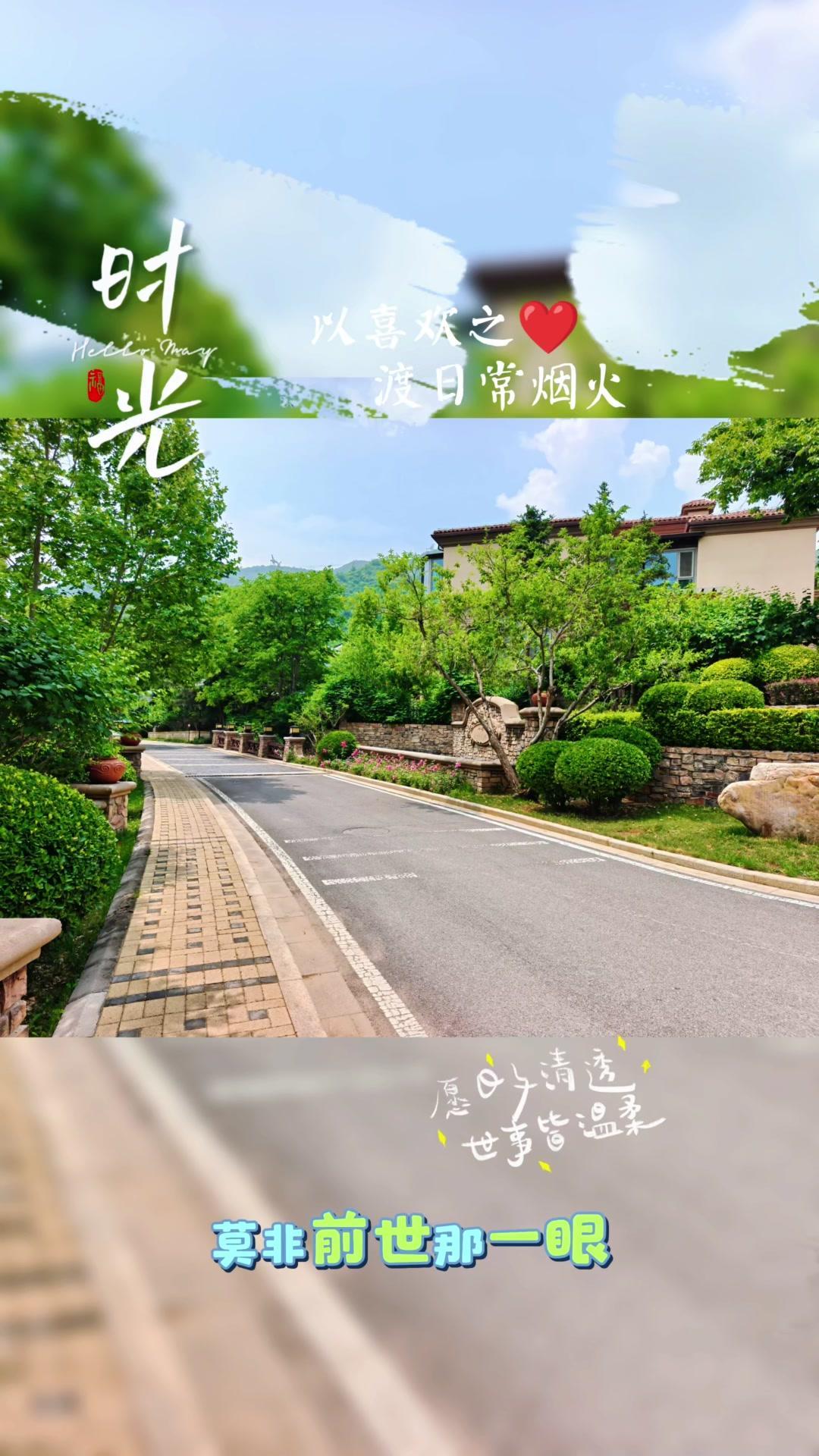 🌿谁能拒绝童话里的夏天？绿树环抱着小房子，风里都带着青草香，阳光透过叶隙洒下斑