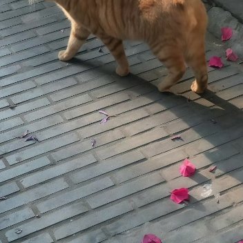 亲切的问候 ，写在岁月里 ，温馨的祝福 ，留在空间里 ，让快乐一路相伴 ，让健康