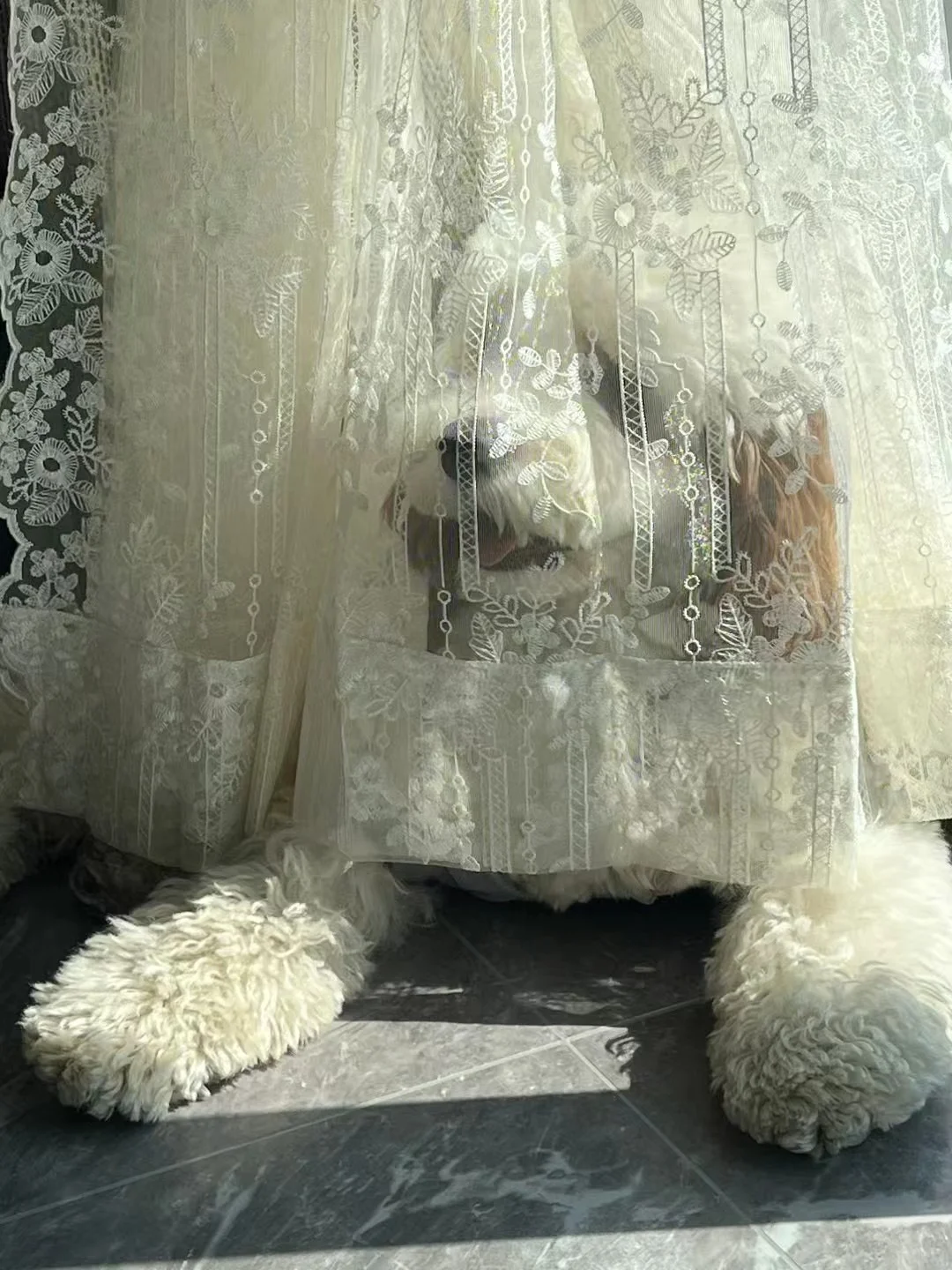 被🐶代言的一款满绣纱