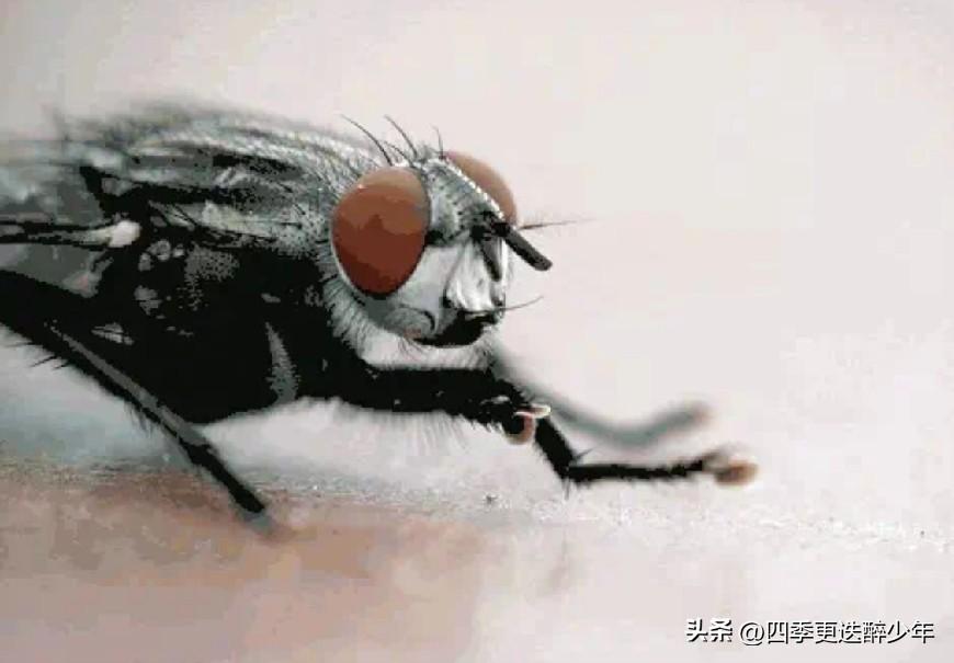 今日重温毛泽东的诗《满江红·和郭沫若同志》感慨颇多。充满革命浪漫主义和乐观主义精