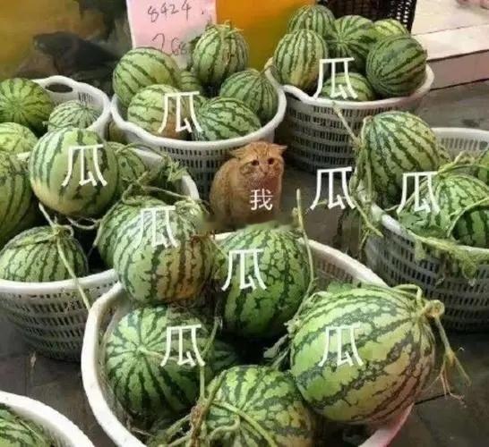 周末空闲坐等大家分享 ​​​