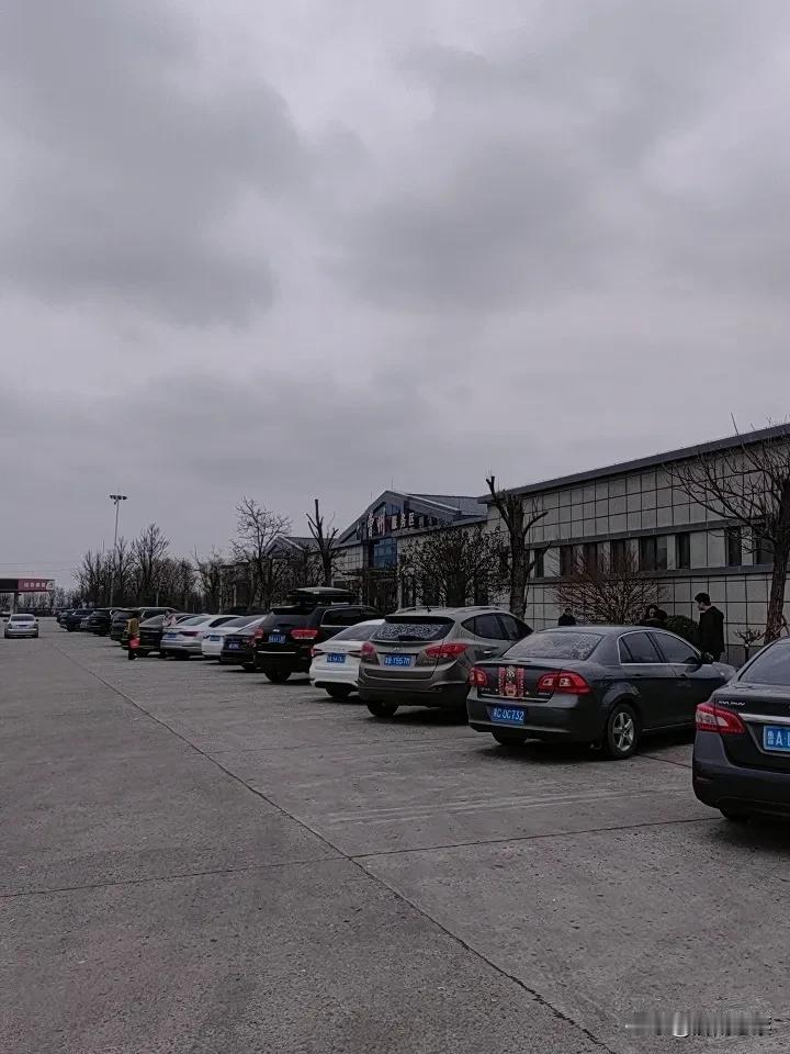 天南地北大拜年回家路上