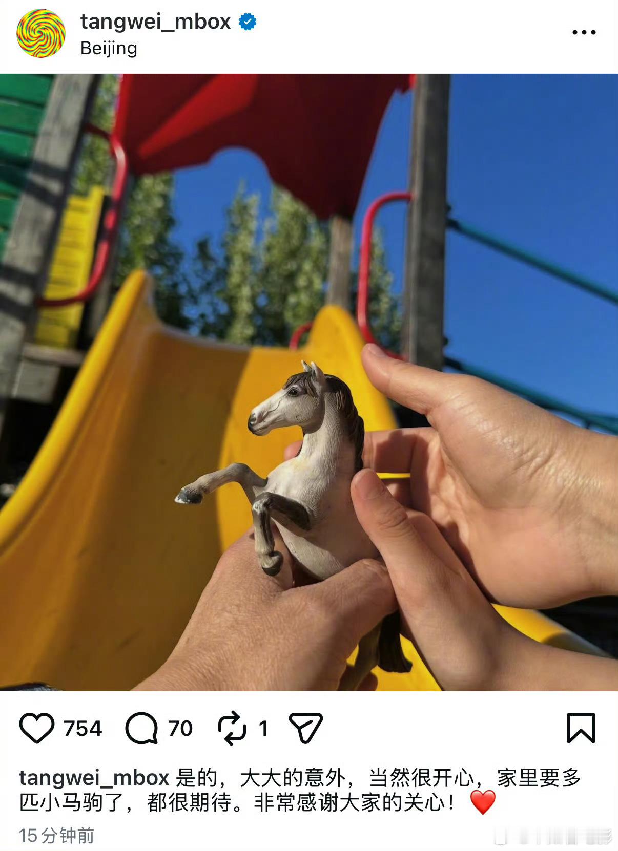 汤唯宣布怀二胎汤唯回应怀二胎 恭喜女神！但是朴赞郁的新片怎么办？还能演吗？汤唯晒