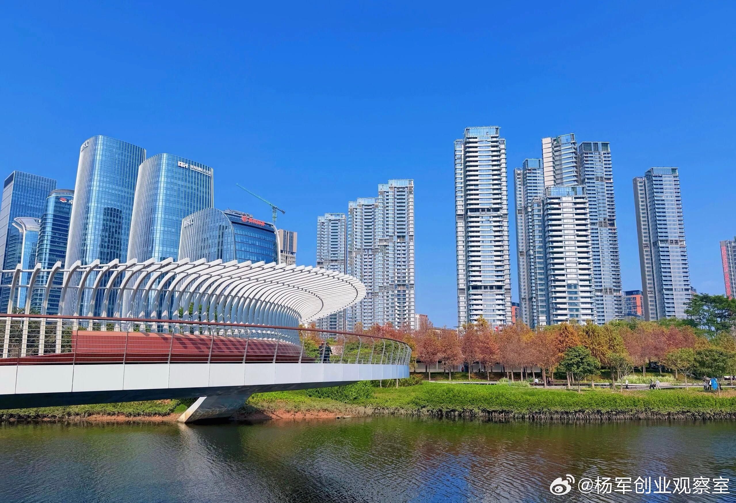 期权激励，是把“未来的股权”变成“今天的动力”的核心工具。它是绑定核心人才、构筑