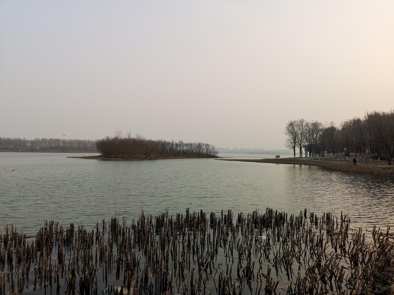 随手拍张照沈阳丁香湖正期待绿色