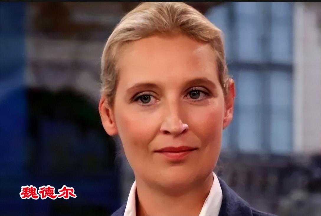 魏德尔是政治家，郑丽文只是政治附庸！
政治家最明显的特征，就是要有旗帜鲜明的观点