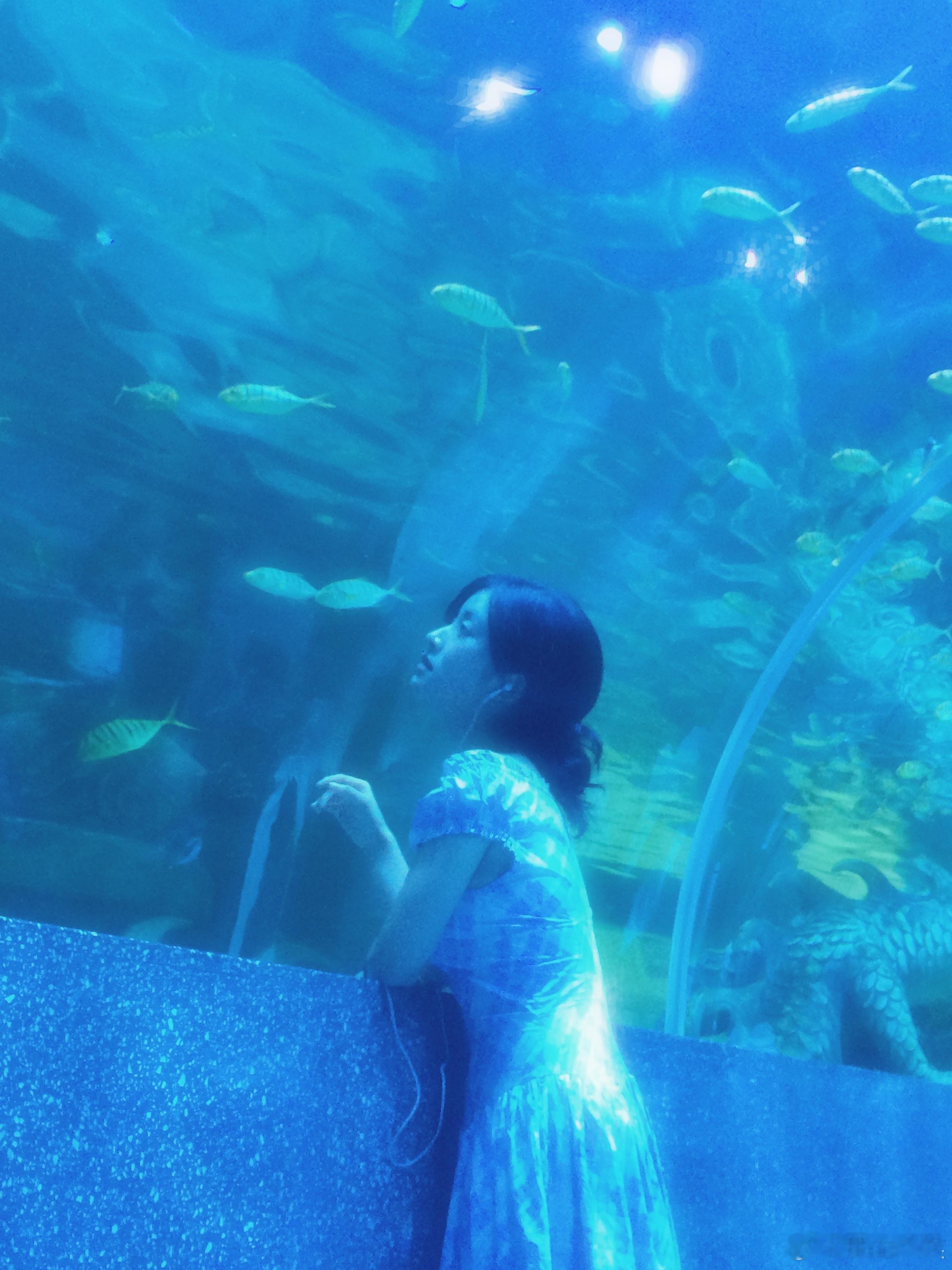 #沈月blue九宫格# ​​​#沈月V领碎花裙# ​​​沈月在海洋馆的这组照片，