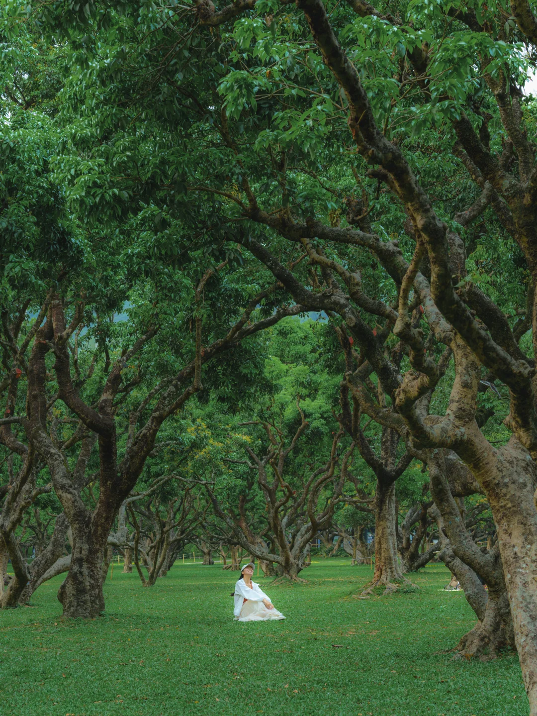 小众人少🍃深圳18个i人恢复能量的好去处