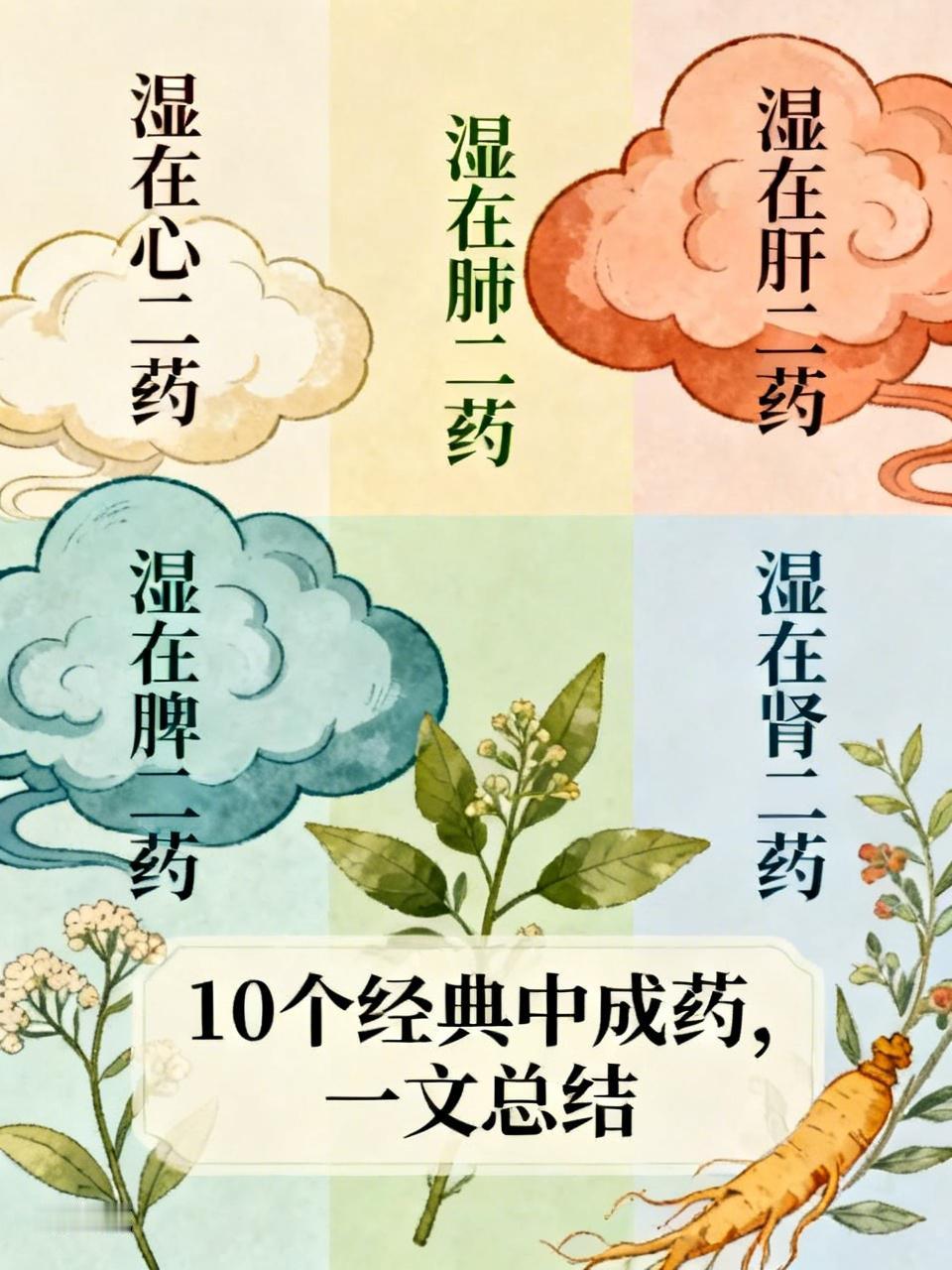 湿在心二药、湿在肝二药、湿在脾二药、湿在肺二药、湿在肾二药，10个经典中成药，一