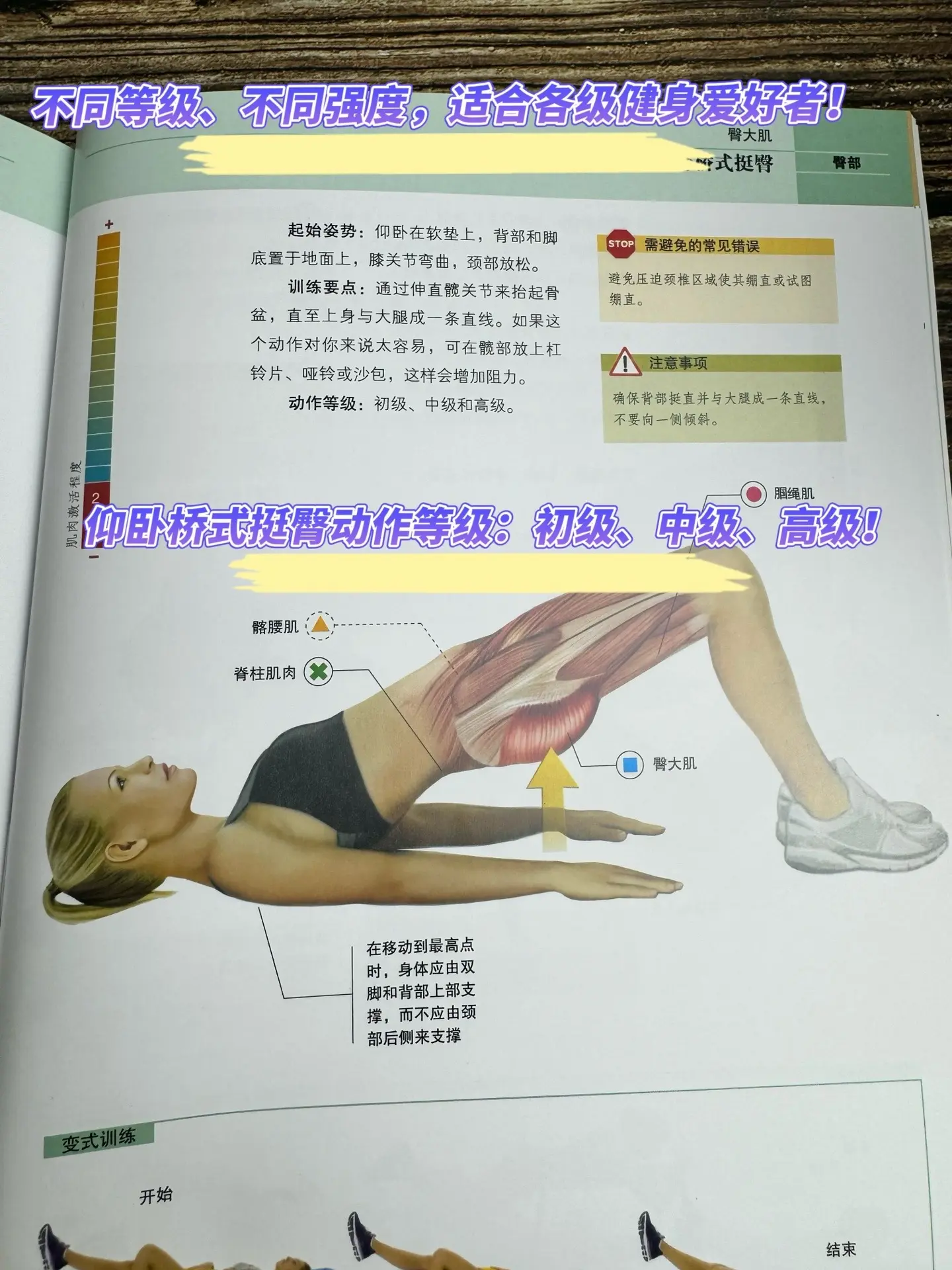 适合新手的健身书！再也不用请私教了！自己瞎练一年，不如学后一个月！中国...