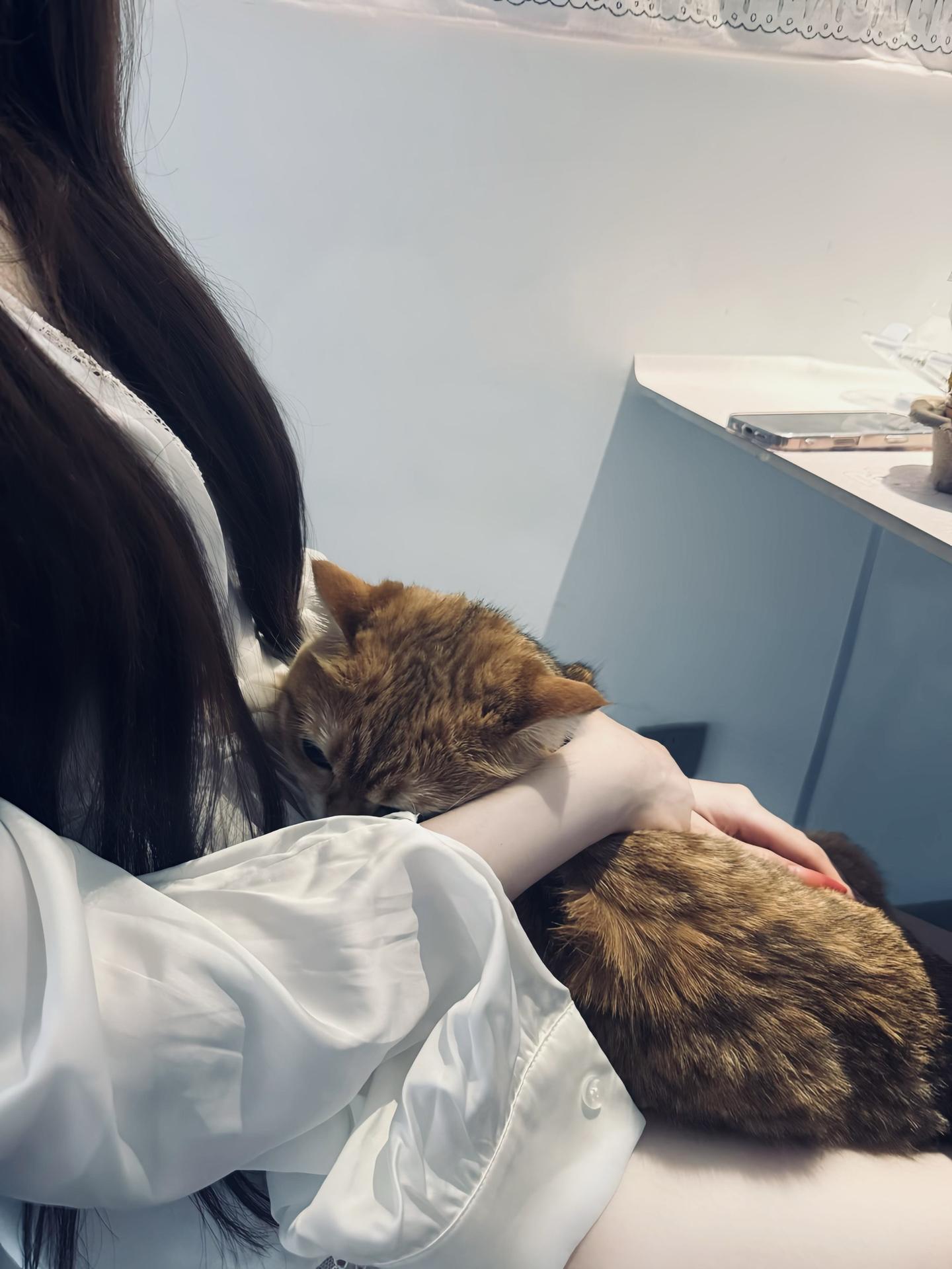 无法回溯的缠绵的秘密