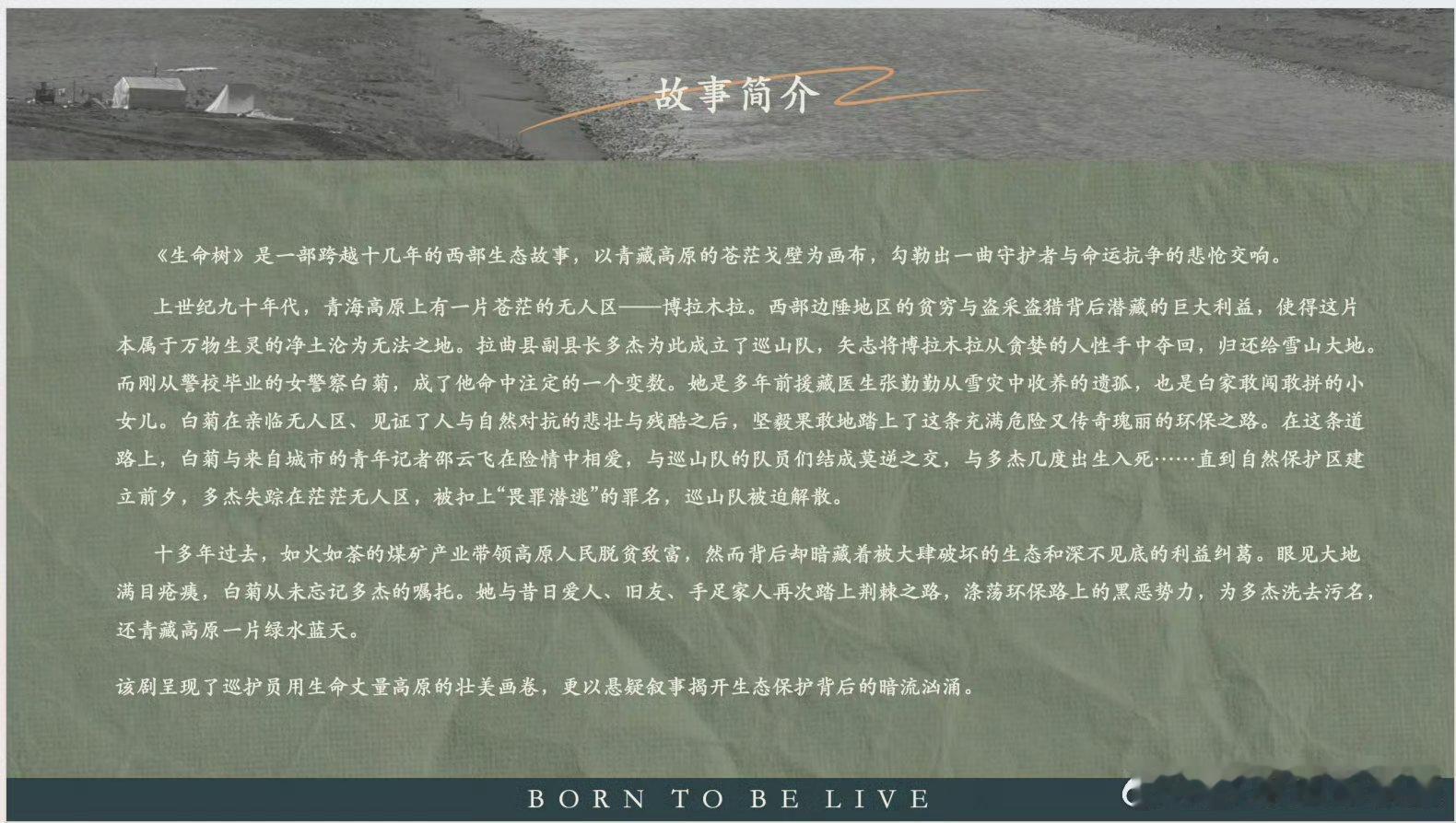不得不说看多少遍也是这版沾点打黑反破坏的简介至少比几年前最初的纯扶贫版感觉要好 