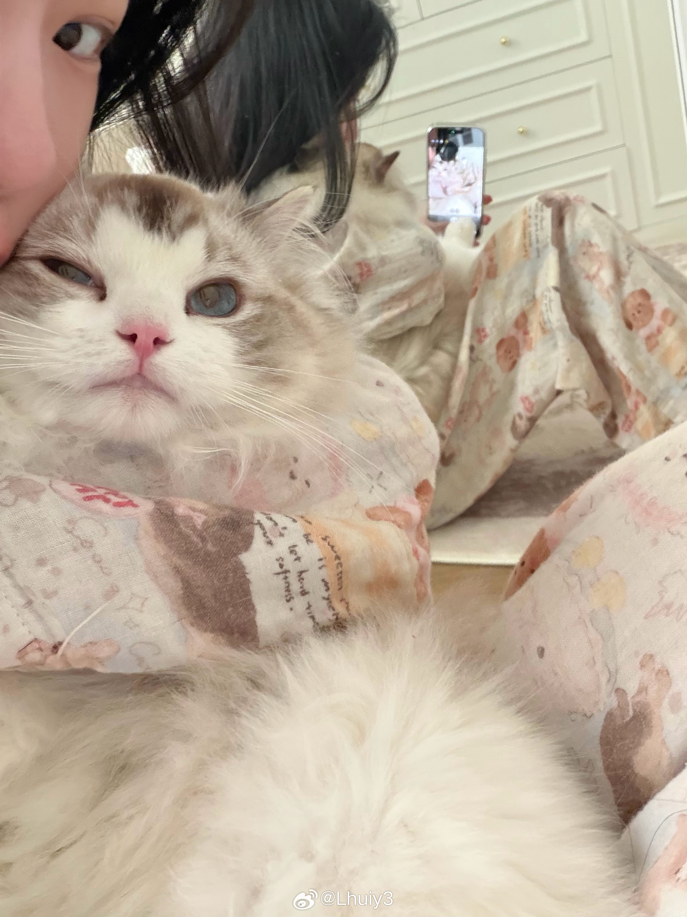 今年还没过一半 我已经想着明年去长沙生活了 好想每年都换个城市生活 