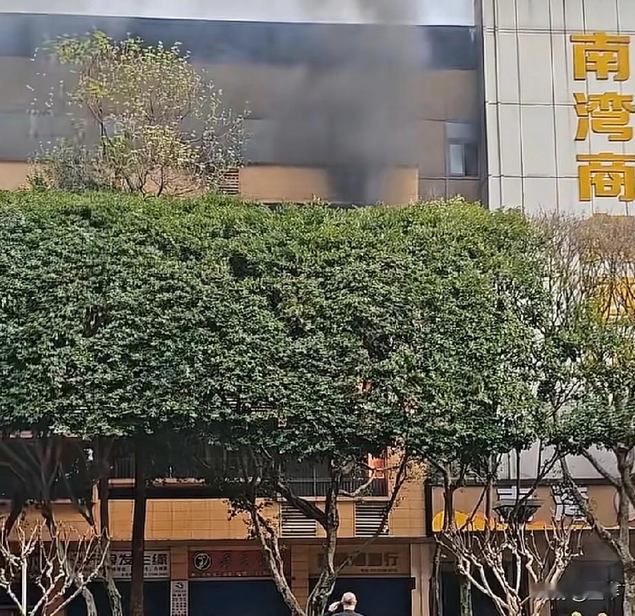 突发！宜宾南湾商务酒店起火，浓烟冲天蔽日，消防紧急驰援。


 
刚刚！宜宾南湾