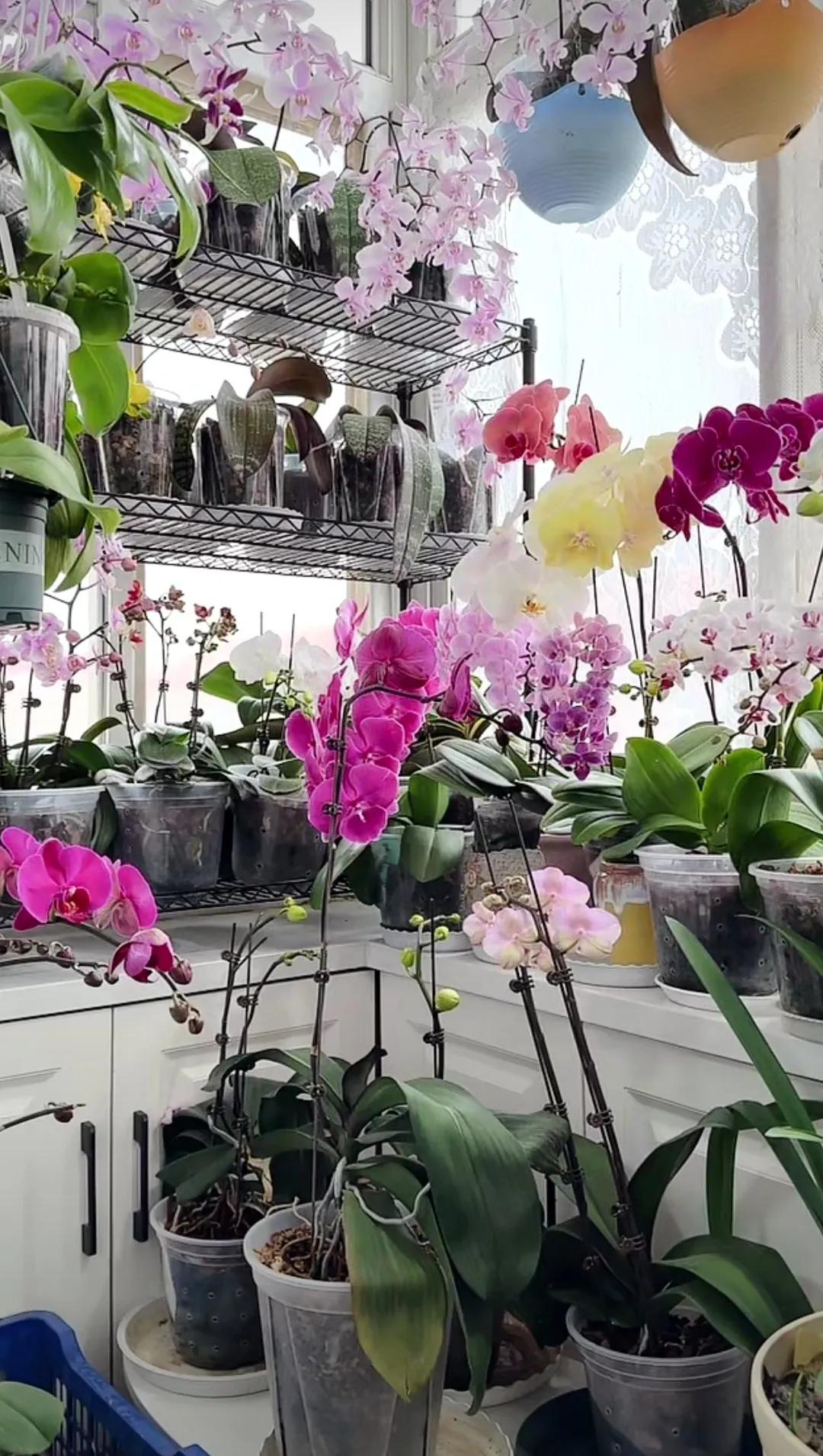 夏日生活打卡季💦高温预警下的自救指南！38℃的天出门五分钟，出汗两小时😭！分