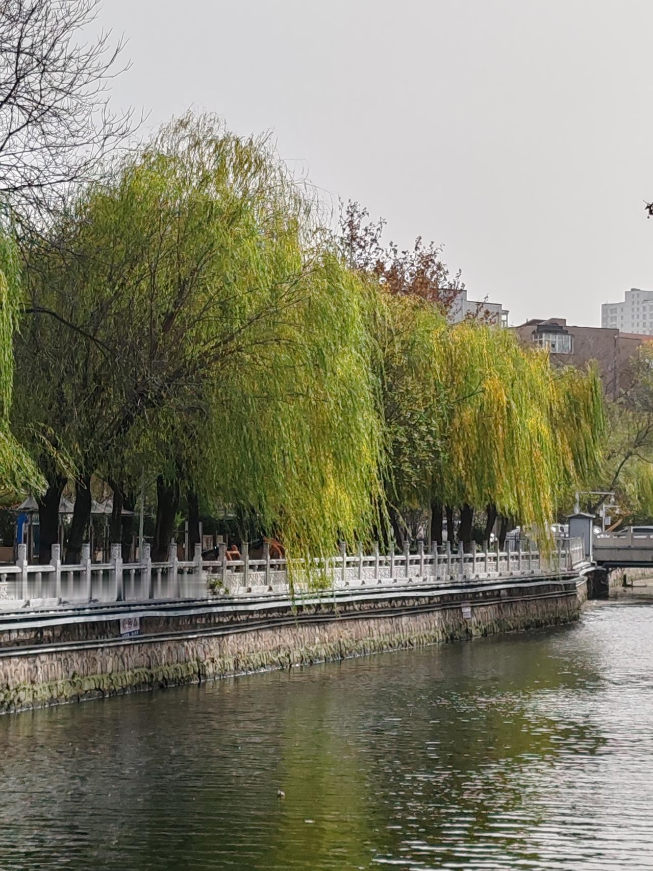 上联：梅花丛中寻旧梦，诚邀下联百草园里忆故人