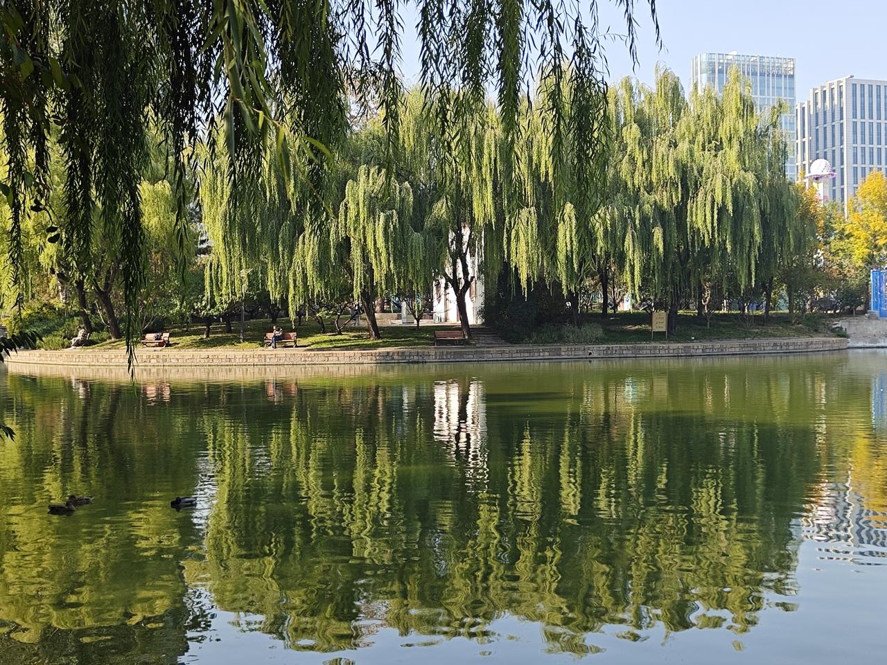 As long as autumn lasts, I shall not hav