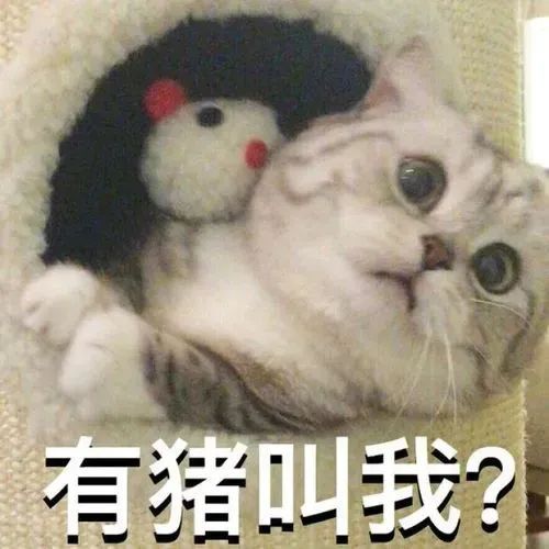 新鲜出炉的表情包，等你来领！ 更新不易，拿图点赞[心]更多表情包请看主页[心] 