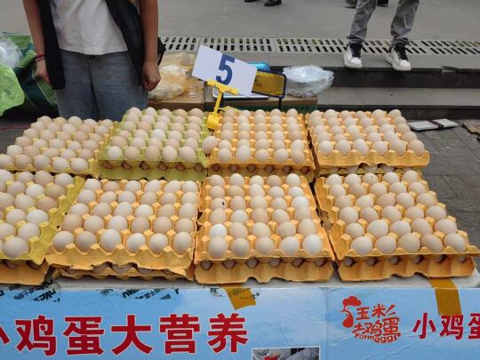 美国去年鸡蛋产量650万吨。 中国去年鸡蛋产量3000多万吨。 光看数...