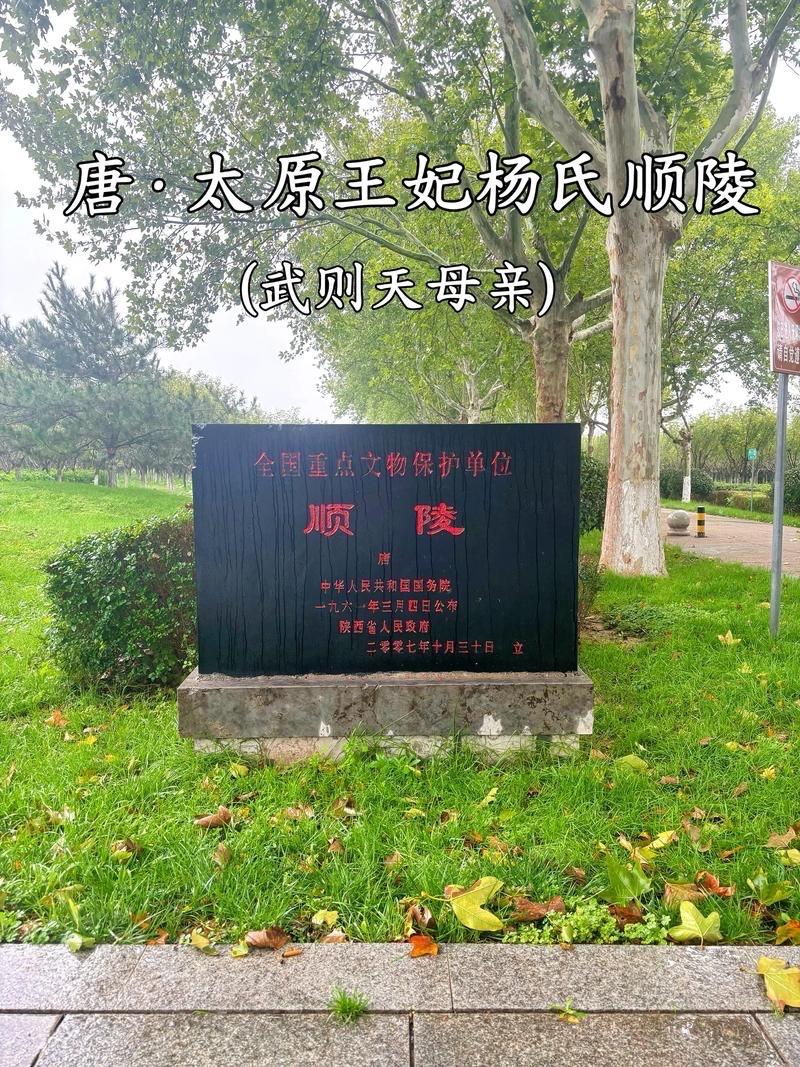顺陵作为武则天之母杨氏的陵墓，其独特之处在于身份与规制的错位。它初以王妃礼下葬，