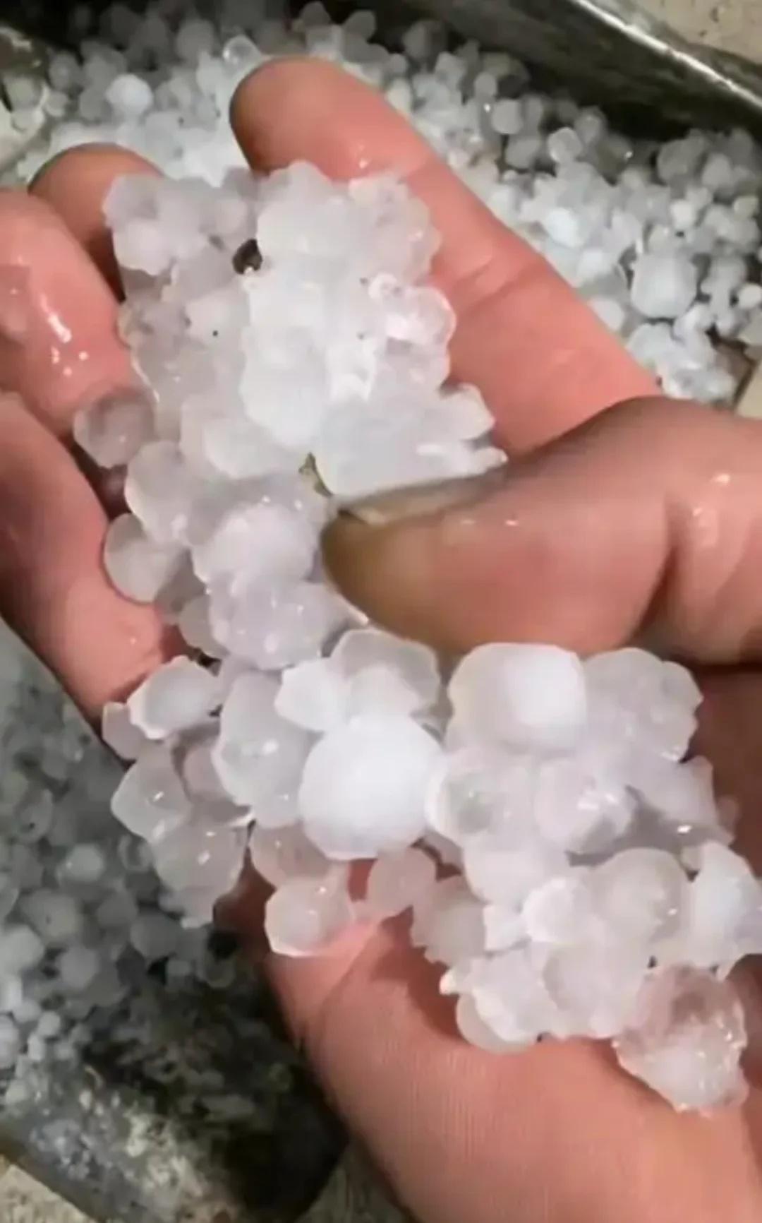 昆明昨晚疯了⚡️春城突降巨型冰雹
谁懂啊😭
号称四季如春的昆明
昨晚直接上演极