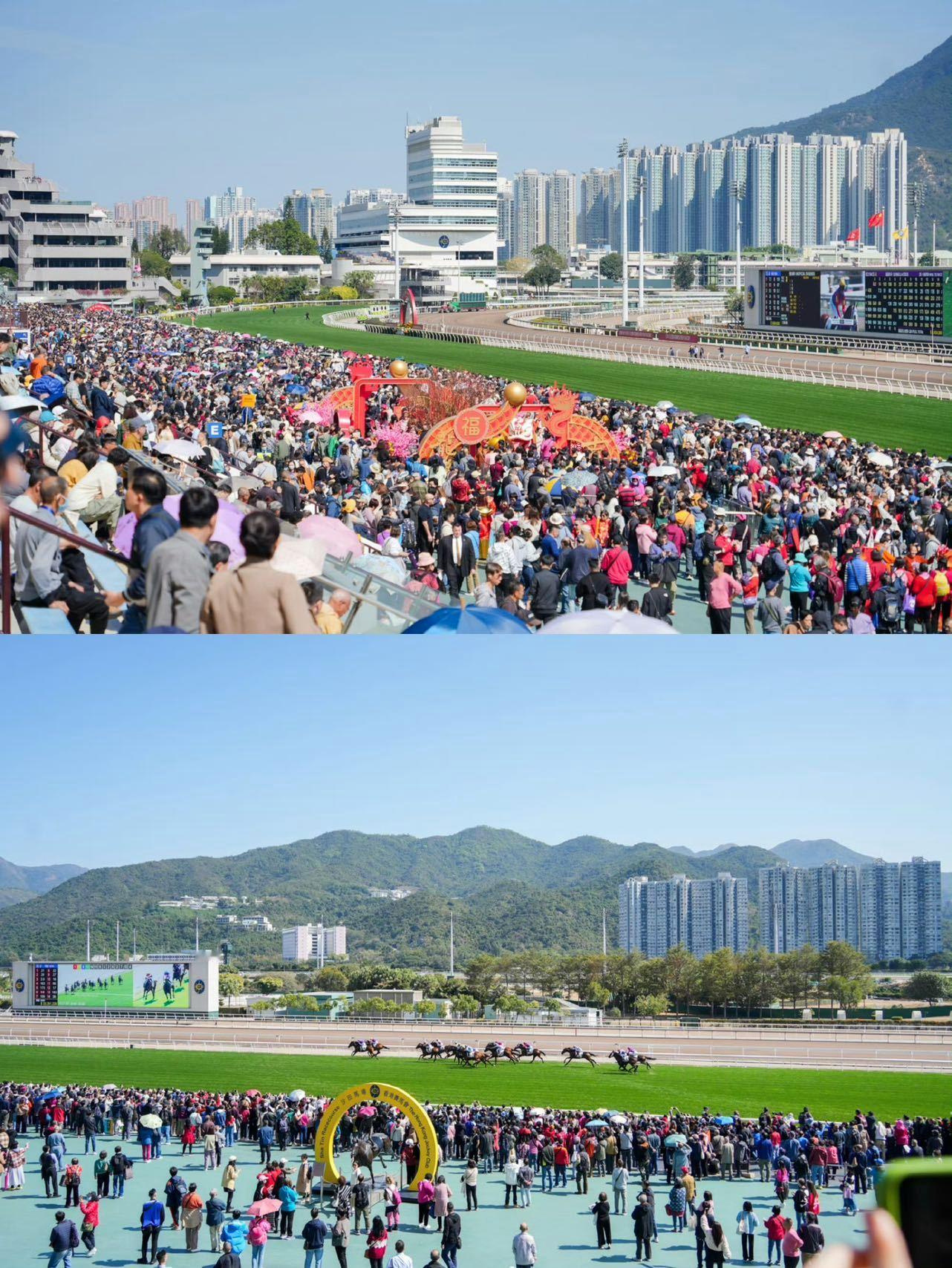 🔥亚洲首演倒计时两周 | CAVALLUNA空降香港自从在新疆学会了骑马和在香