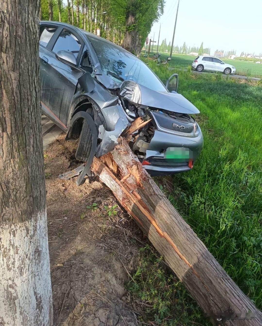 比亚迪海豚这个车，真的让人觉得不可思议，车身强度硬核在线。硬扛从天而降凯迪拉克，