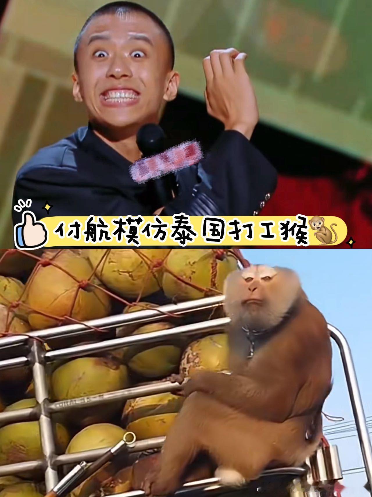 原来吗喽才是椰林霸主AI卷得动人卷不动猴以前喝泰式椰奶只在乎味道好不好，现在满脑