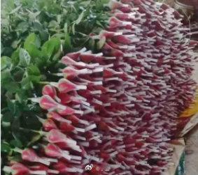 收玉米女生称玫瑰价钱能买100斤玉米女生收到花后先打开的是食谱 哇塞！收玉米女生