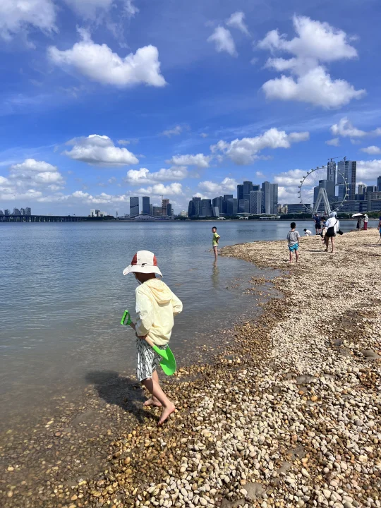 深圳前海可以玩海挖沙啦‼️预计新顶流❗️