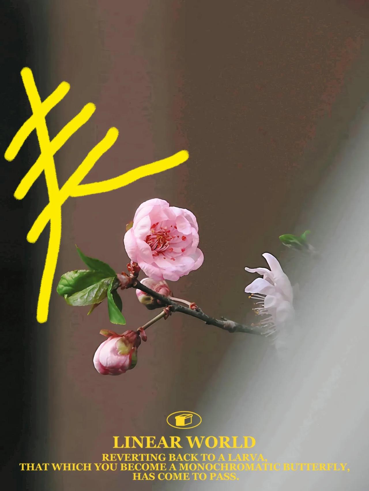三月，春和景明。愿花开岁月，皆见喜，但许人间，一缕香[玫瑰][玫瑰]从春开到秋的
