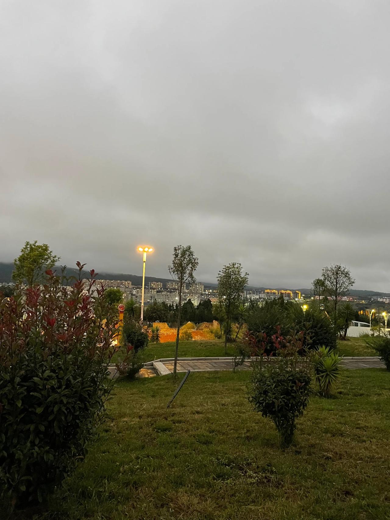 #秋日随记#
今天，2024年10月14号，晚上散步随记。