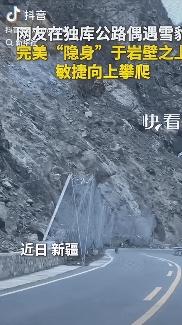 上新华社了！新疆独库公路上一对男女自驾出游，副驾女子不经意抬头扫过路边的岩壁，突