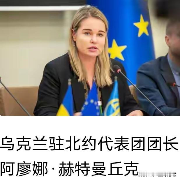 乌克兰再次喊话欧洲！在近期，乌克兰驻北约大使代表团团长再次喊话称，欧洲必须额外向