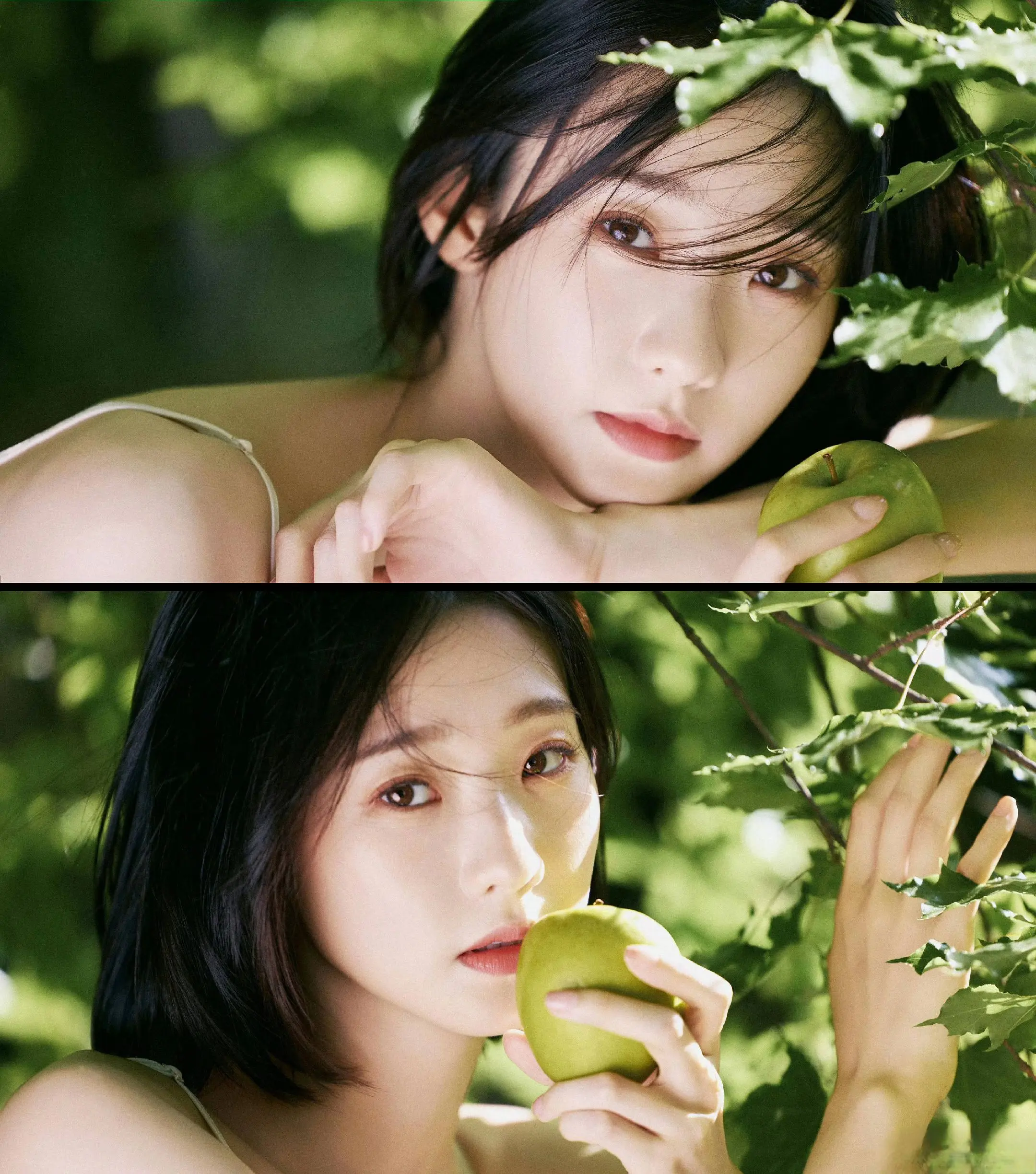 张艺凡：青苹果女孩🍏。
