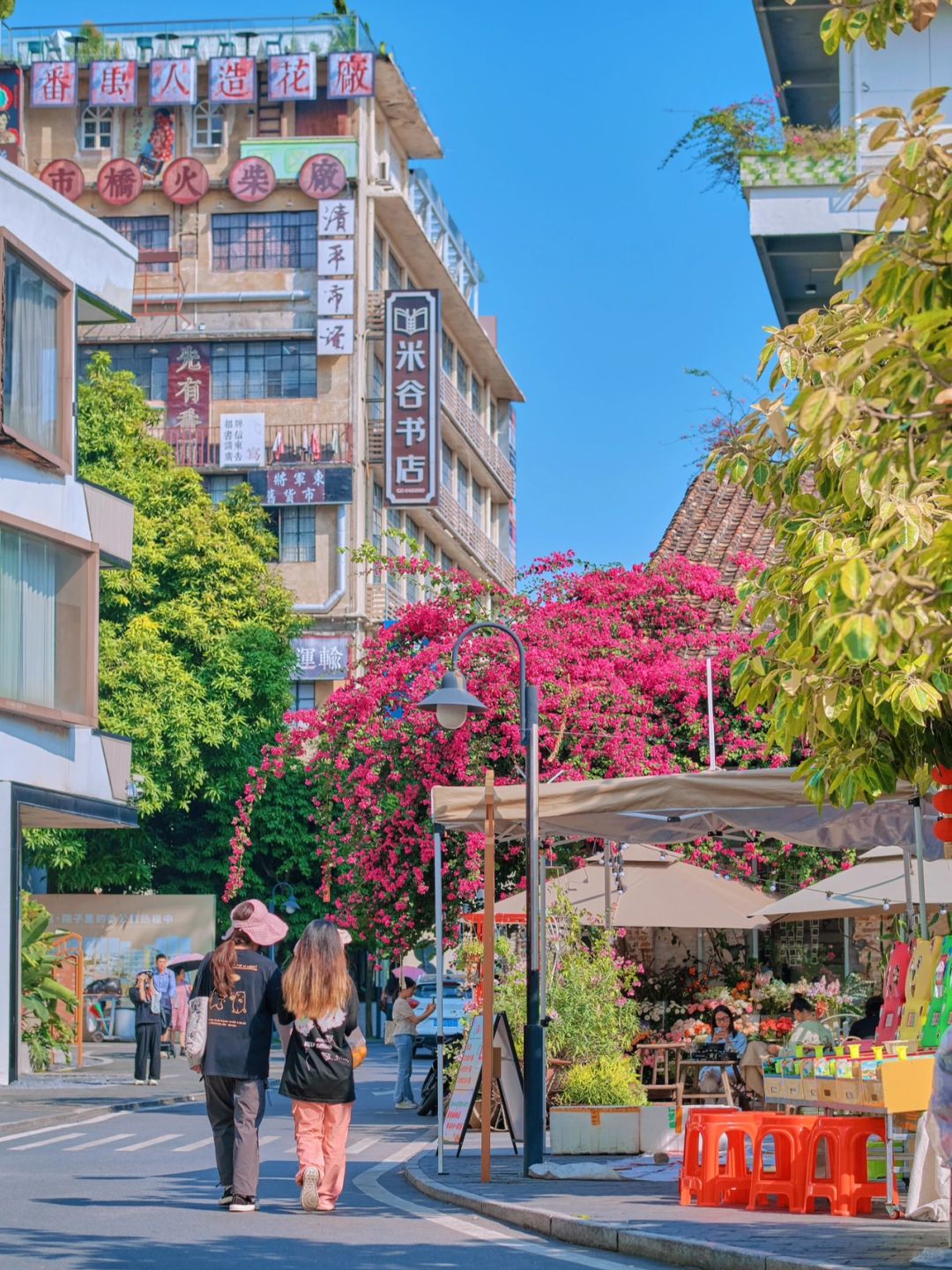 阳光正好☀️微风不燥，广州有风的小院太美啦