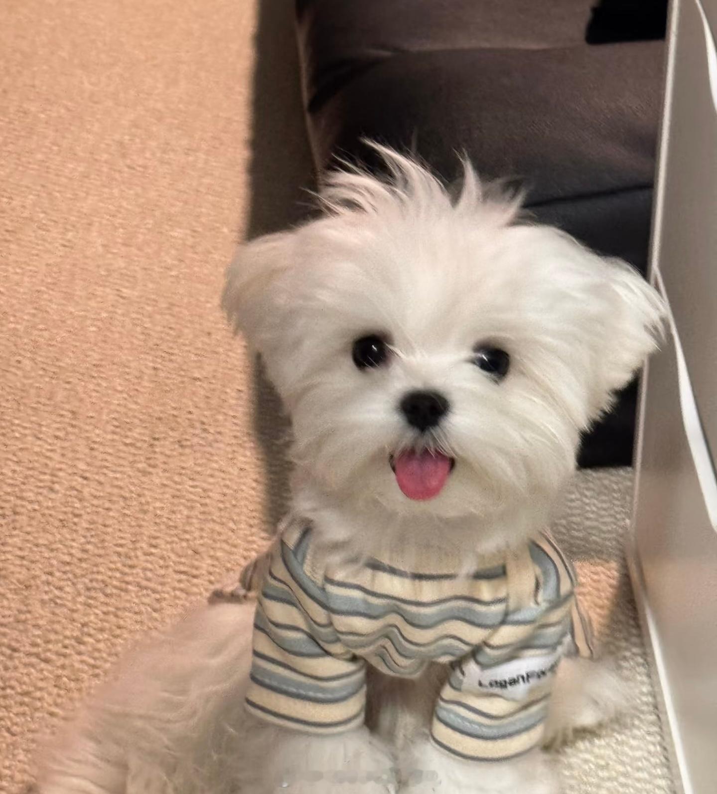 今晚19:30主播小姐姐代播哈📺有券发有券领（明晚上新我争取再来播 穿一遍 给