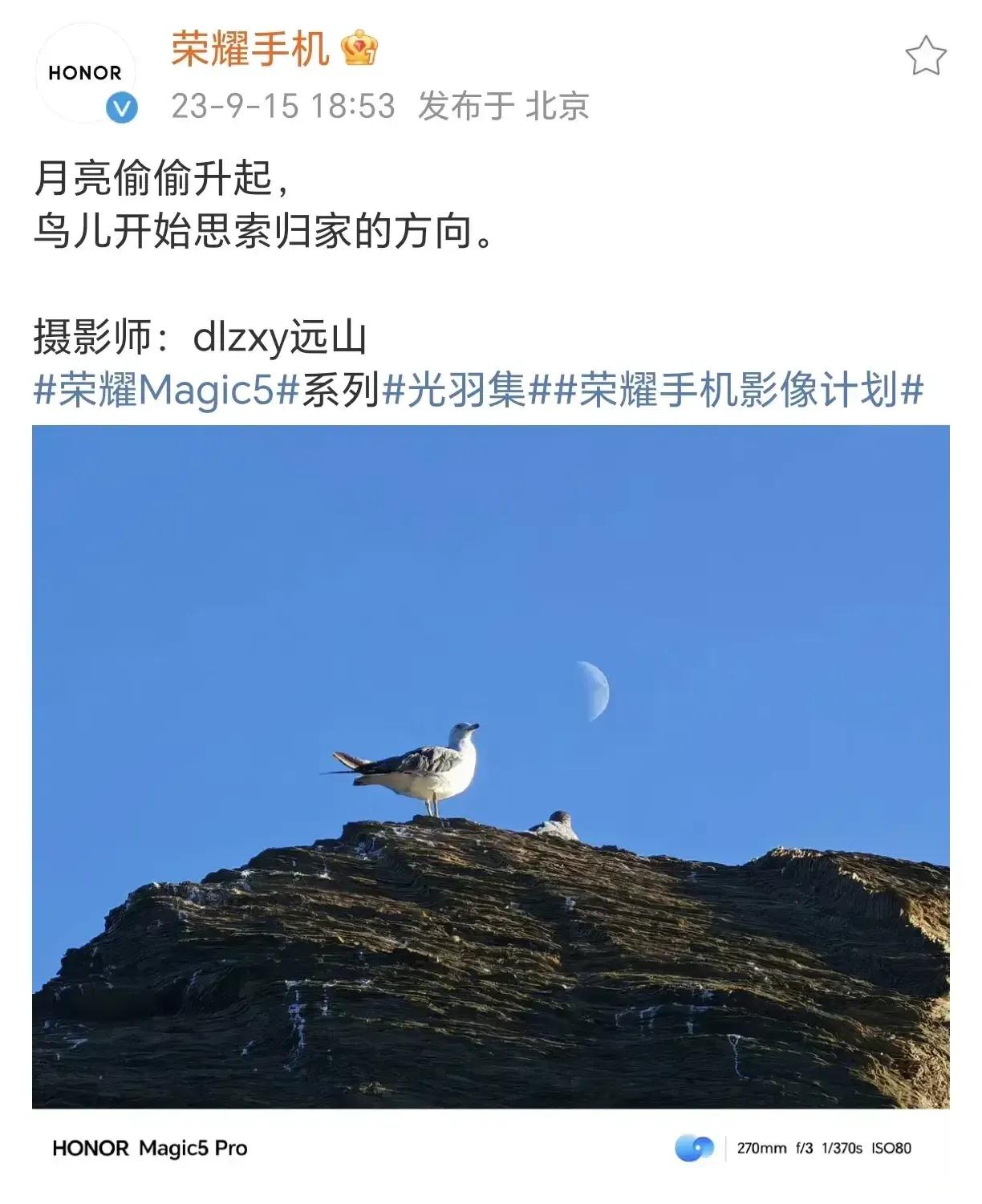 不得了了，荣耀这个暗示只可意会

鸟儿开始思索归家的方向，言外之意大家都懂吧，阿